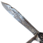 Decorative Pocket Fruit Knife with Seed Pick - Blade
