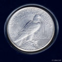 Complete Uncirculated Peace Silver Dollar Collection 1921